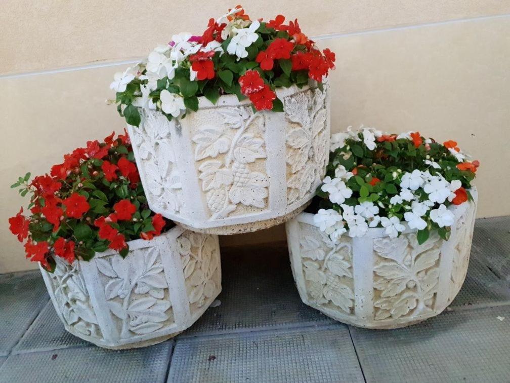 פומורי Анси מראה חיצוני תמונה